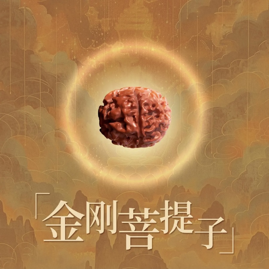 金刚菩提子