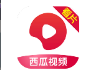 西瓜视频_3.1.7【解锁VIP请勿相信任何广告】-秘密花园 – 乐于分享免费资源平台